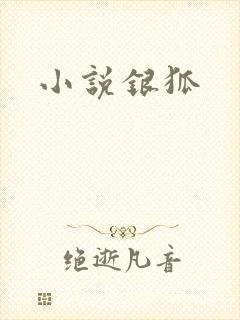 小说银狐
