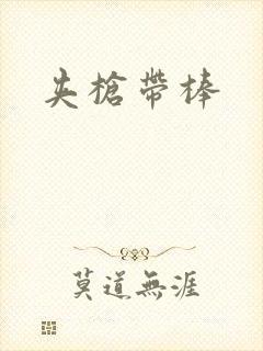 夹枪带棒封面