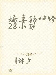 娇妻的呻吟1—28小说