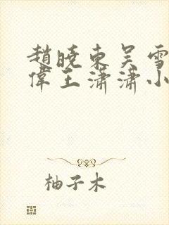 赵晓东吴雪晴郑伟王潇潇小说