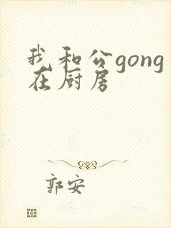 我和公gong在厨房封面