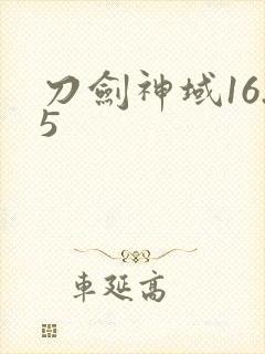 刀剑神域16.5封面
