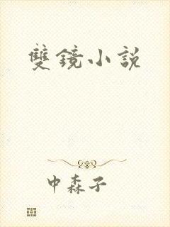 双镜小说