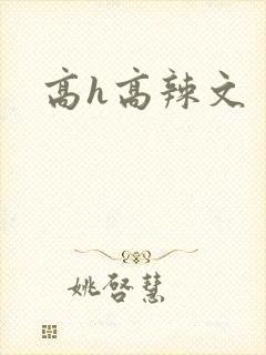 高h高辣文