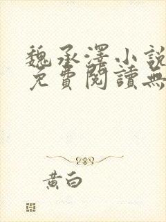 魏承泽小说全文免费阅读无弹窗笔趣