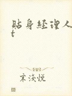 贴身经理人txt封面