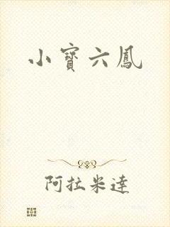 小宝六凤封面