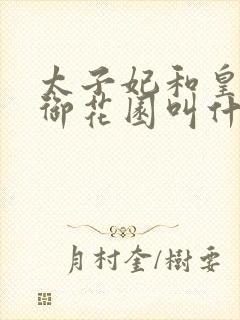 太子妃和皇帝在御花园叫什么小说
