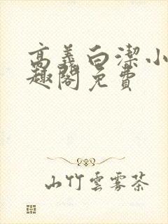 高义白洁小说笔趣阁免费