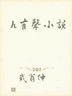 h有声小说封面