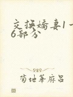 交换娇妻1一36部分