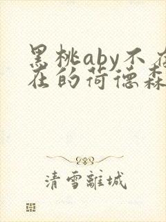 黑桃aby不存在的荷德森笔趣阁封面