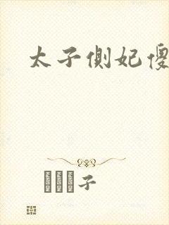 太子侧妃傻乎乎