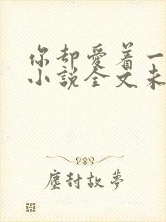 你却爱着一个他小说全文未删减免费