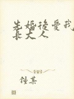 先婚后爱我的市长大人