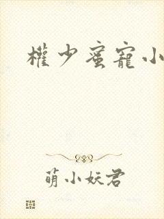 权少蜜宠小娇妻