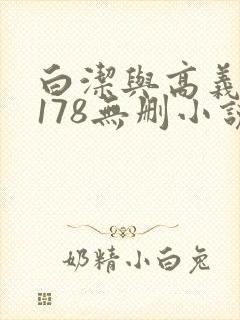白洁与高义1～178无删小说封面