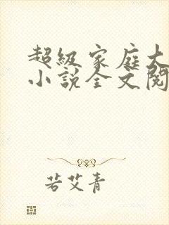 超级家庭大杂烩小说全文阅读