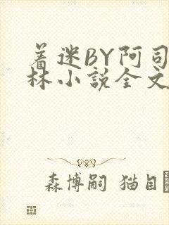 着迷BY阿司匹林小说全文免费阅读封面