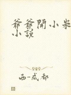 爷爷开小米的包小说