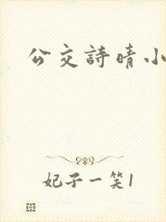 公交诗晴小说