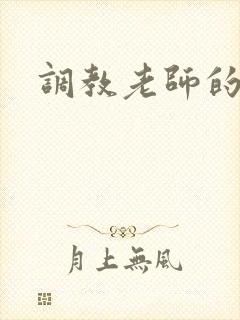 调教老师的小说封面