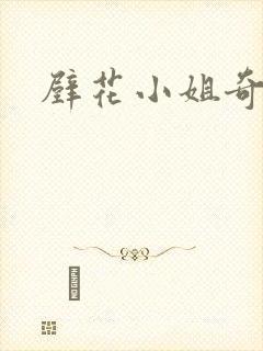 壁花小姐奇遇记封面