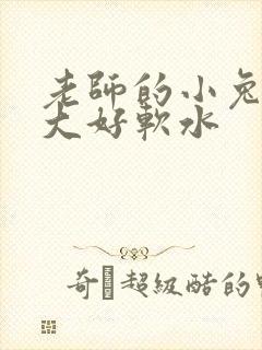 老师的小兔子好大好软水封面