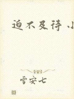 迫不及待 小穴