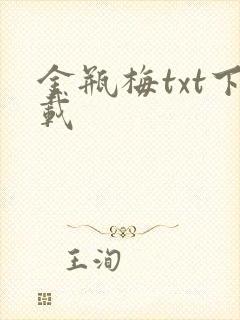 金瓶梅txt下载封面