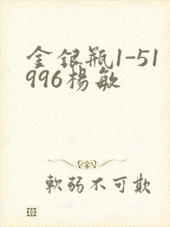 金银瓶1-51996杨敏封面