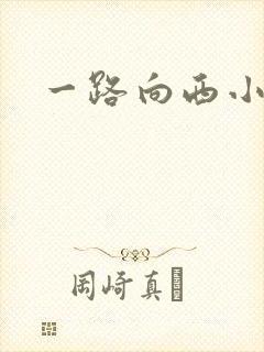 一路向西小说