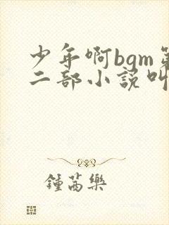 少年啊bgm第二部小说叫什么