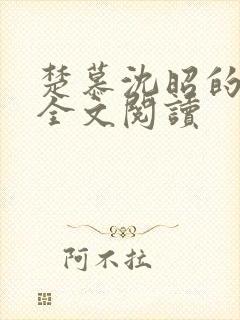 楚慕沈昭的小说全文阅读
