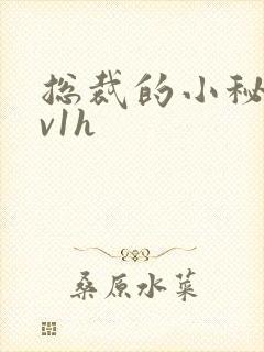 总裁的小秘书1v1h封面
