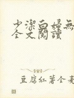 少洁白妇无删减全文阅读封面