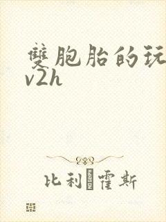 双胞胎的玩具1v2h封面
