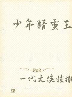 少年精灵王