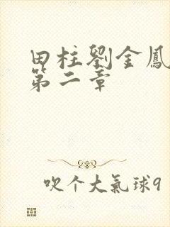 田柱刘金凤小说第二章封面