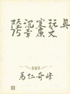 陆沉塞玩具高速75章原文