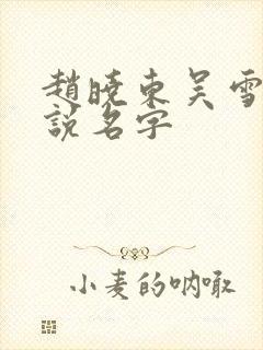 赵晓东吴雪晴小说名字
