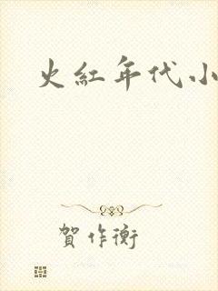 火红年代小说