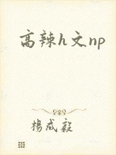 高辣h文np