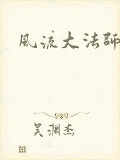 风流大法师封面