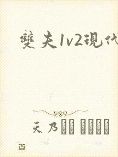 双夫1v2现代