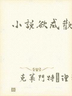 小说欲成欢