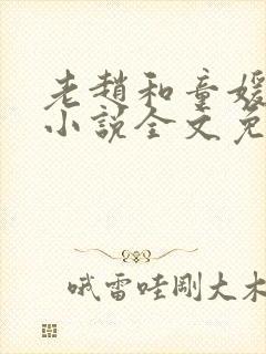 老赵和童媛媛的小说全文免费阅读