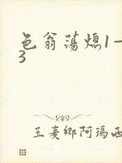 色翁荡熄1—13封面