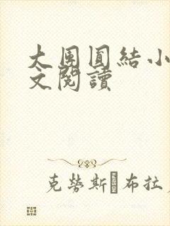 大团圆结小茹全文阅读