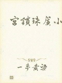 宫锁珠帘小说